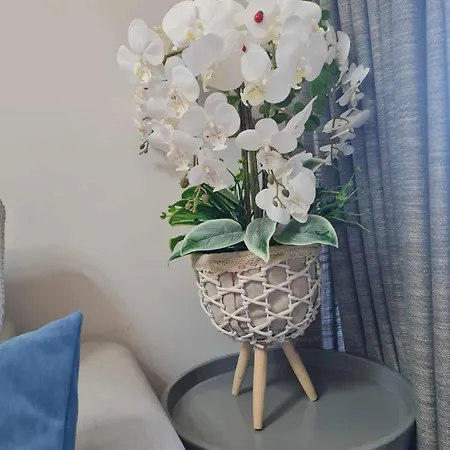 Apartament Apartman Tirana